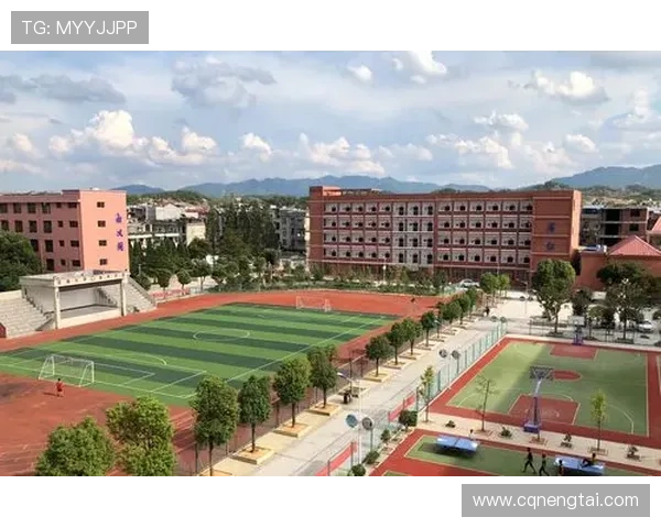 《铁血使命》：巾帼不让须眉，热血铸就辉煌